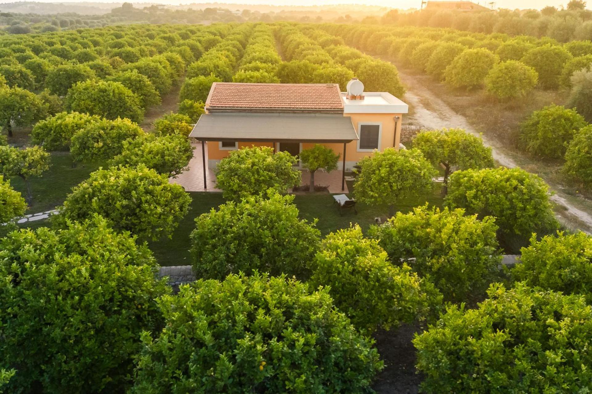 Fiore Di Vendicari B&B - Sicilian Charme, Lemon Grove And Sea 노토 외부 사진